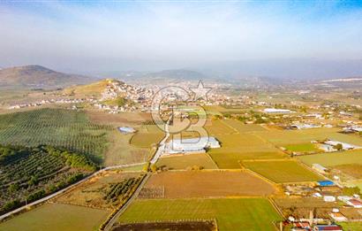 Bağarası Hacıveli Mahallesinde Satılık Tarla