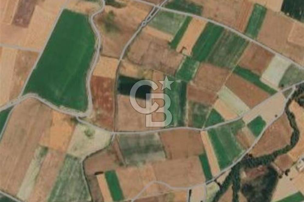 CB CITY'DEN SEYİTGAZİ İKİÇEŞME KIRKA YOLU ÜZERİNDE SATILIK TARLA