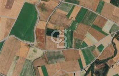 CB CITY'DEN SEYİTGAZİ İKİÇEŞME KIRKA YOLU ÜZERİNDE SATILIK TARLA