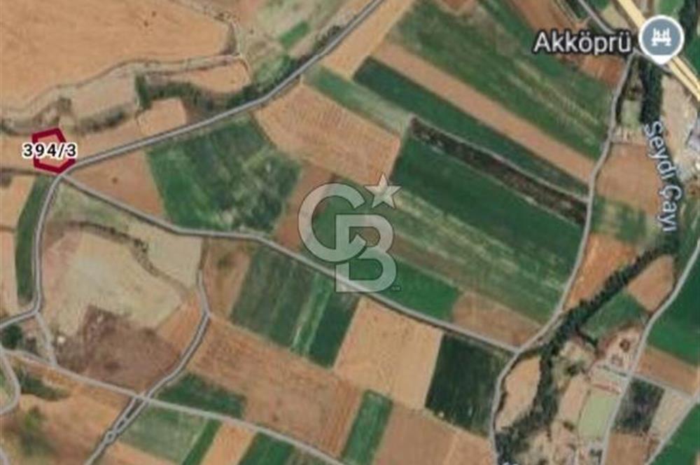 CB CITY'DEN SEYİTGAZİ İKİÇEŞME KIRKA YOLU ÜZERİNDE SATILIK TARLA