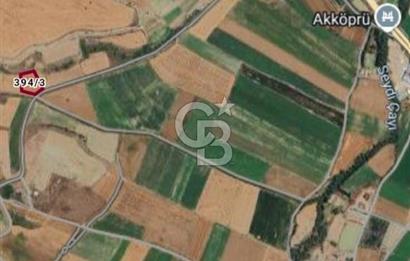 CB CITY'DEN SEYİTGAZİ İKİÇEŞME KIRKA YOLU ÜZERİNDE SATILIK TARLA
