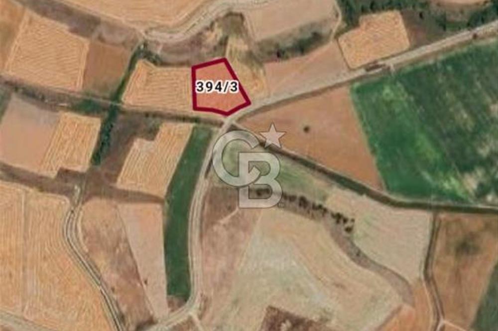 CB CITY'DEN SEYİTGAZİ İKİÇEŞME KIRKA YOLU ÜZERİNDE SATILIK TARLA
