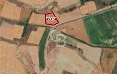 CB CITY'DEN SEYİTGAZİ İKİÇEŞME KIRKA YOLU ÜZERİNDE SATILIK TARLA