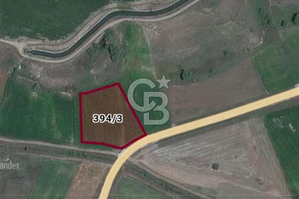 CB CITY'DEN SEYİTGAZİ İKİÇEŞME KIRKA YOLU ÜZERİNDE SATILIK TARLA