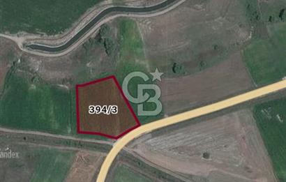 CB CITY'DEN SEYİTGAZİ İKİÇEŞME KIRKA YOLU ÜZERİNDE SATILIK TARLA