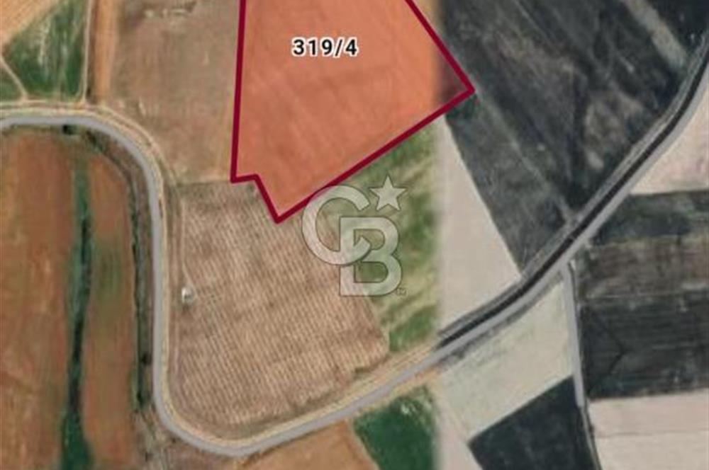 CB CITY'DEN SEYİTGAZİ İKİÇEŞMEDE 45 DÖNÜM SATILIK TARLA
