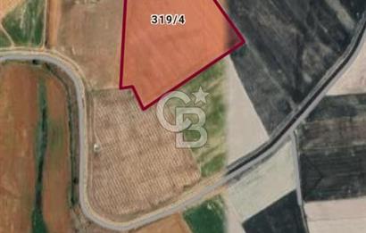 CB CITY'DEN SEYİTGAZİ İKİÇEŞMEDE 45 DÖNÜM SATILIK TARLA