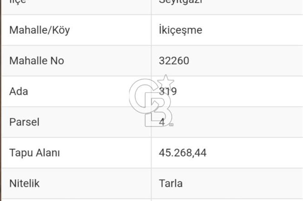 CB CITY'DEN SEYİTGAZİ İKİÇEŞMEDE 45 DÖNÜM SATILIK TARLA