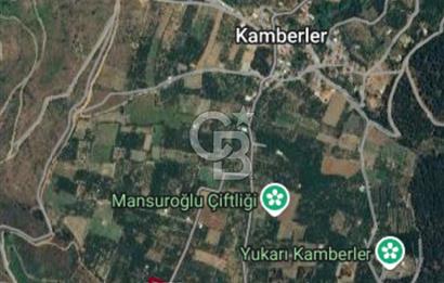 KEMALPAŞA KAMBERLER'DE SATILIK KİRAZ BAHÇESİ