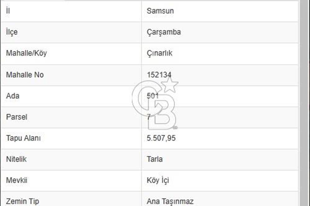 ÇINARLIKTA SAMSUN-ÇARŞAMBA HAVALİMANINA YAKIN SATILIK TARLA