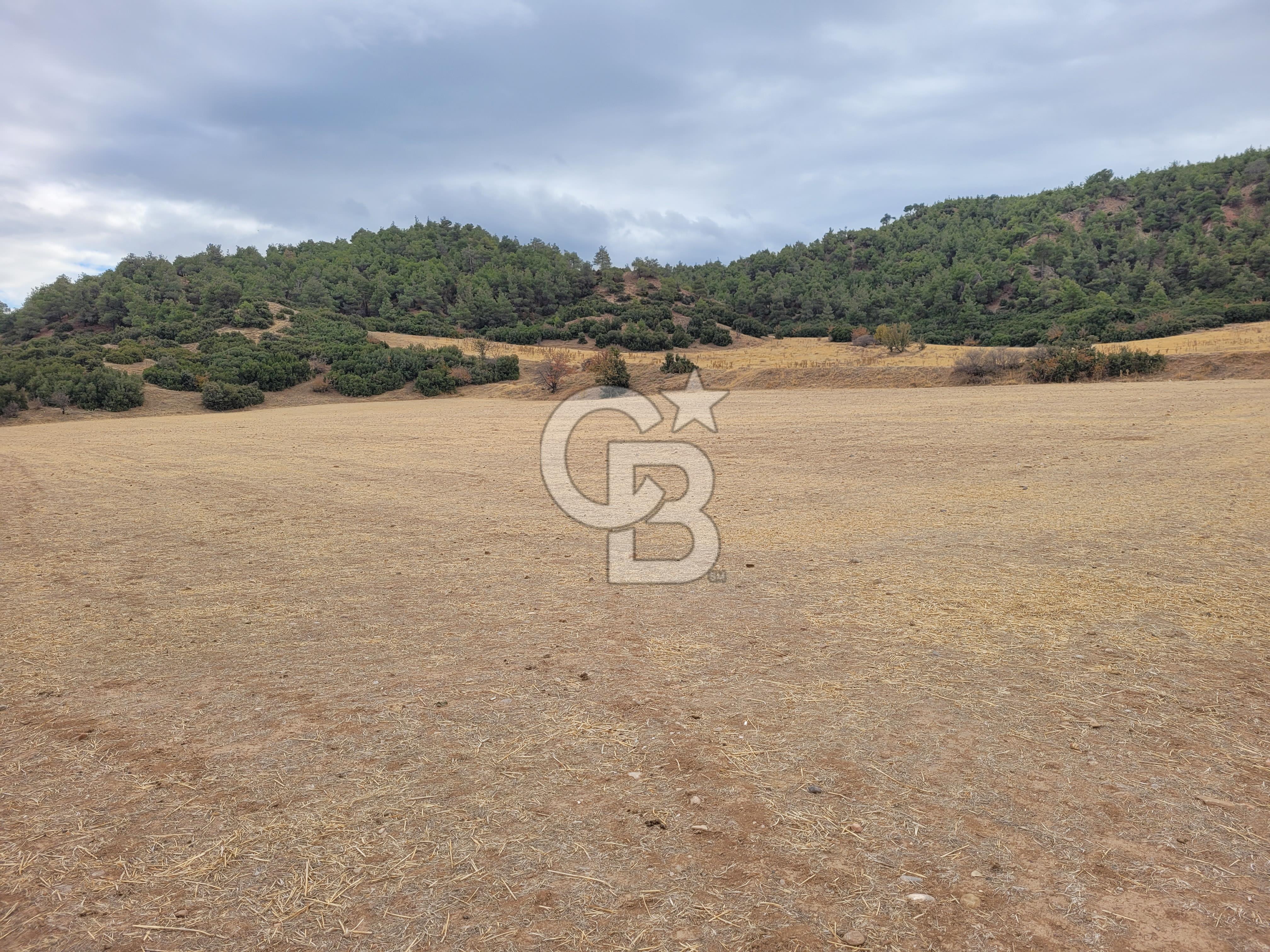 Honaz Aşağıdağdere'de Satılık  Tarla 