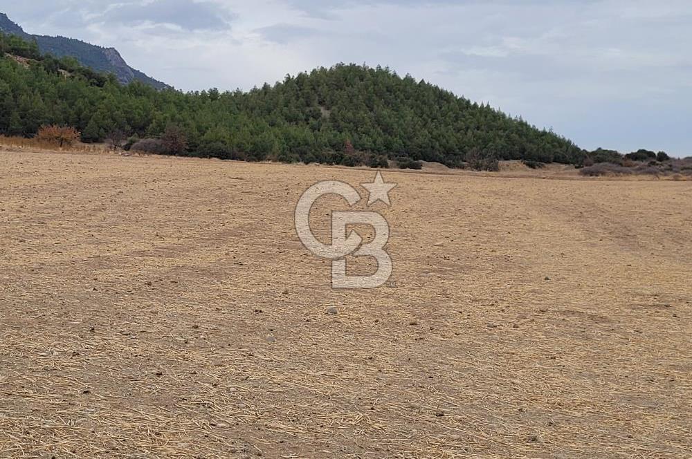 Honaz Aşağıdağdere'de Satılık  Tarla 