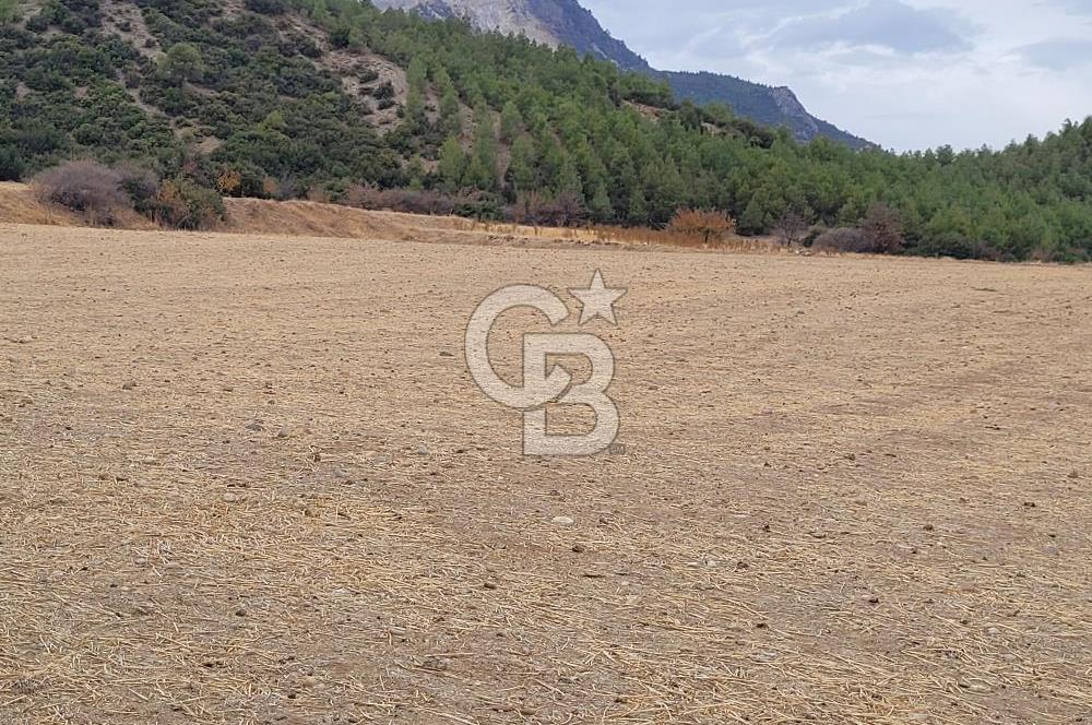 Honaz Aşağıdağdere'de Satılık  Tarla 