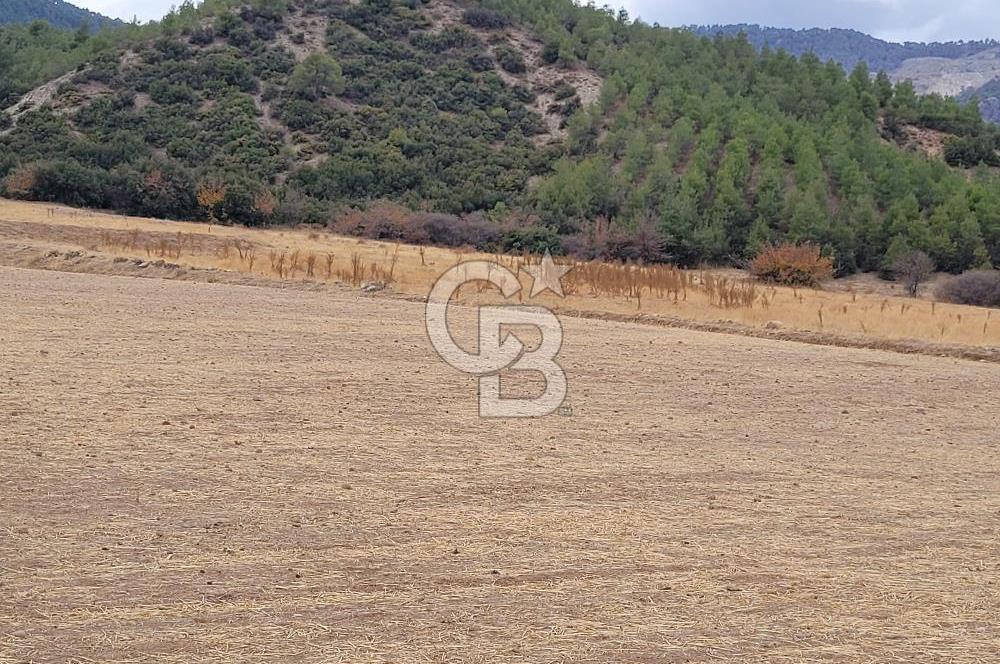 Honaz Aşağıdağdere'de Satılık  Tarla 