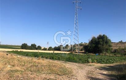 UŞAK MUHARREMŞAH MAHALLESİNDE SATILIK VERİMLİ 4697m2 TARLA