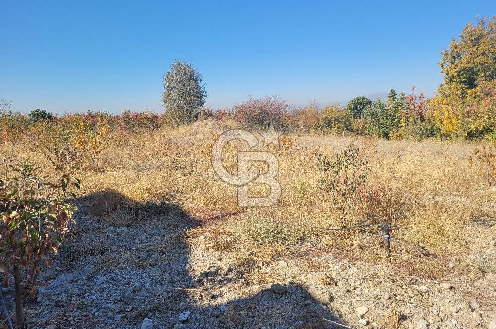 Honaz Kızılyer'de Satılık Arsa 