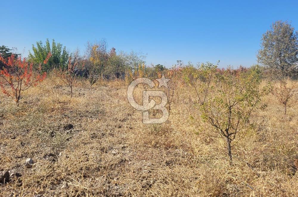 Honaz Kızılyer'de Satılık Arsa 
