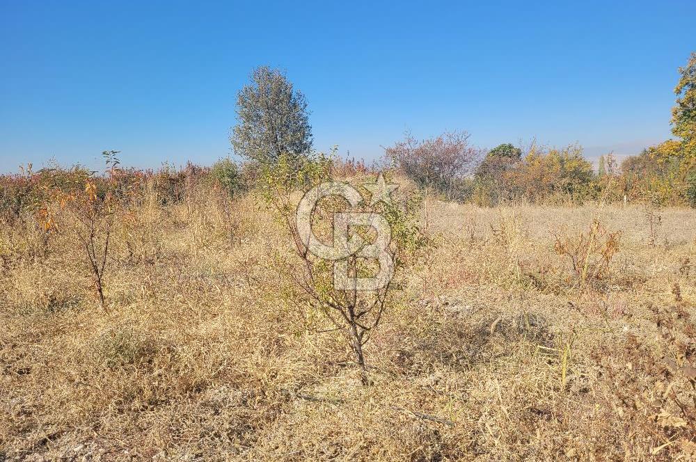 Honaz Kızılyer'de Satılık Arsa 