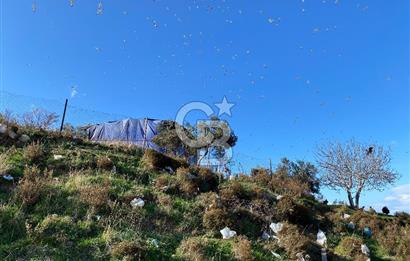 ÇİĞLİ HARMANDALIDA SATILIK TARLA