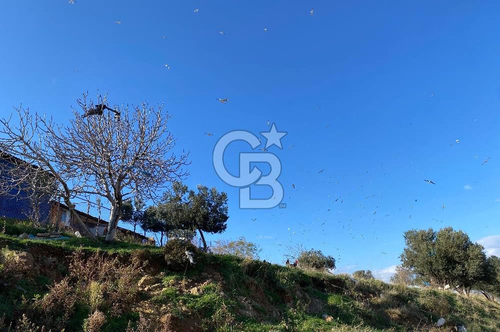 ÇİĞLİ HARMANDALIDA SATILIK TARLA