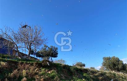 ÇİĞLİ HARMANDALIDA SATILIK TARLA