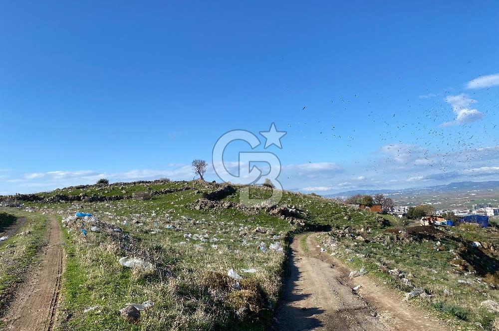 ÇİĞLİ HARMANDALIDA SATILIK TARLA