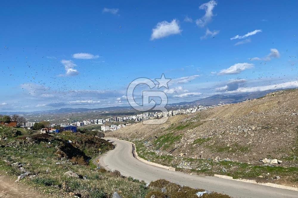 ÇİĞLİ HARMANDALIDA SATILIK TARLA