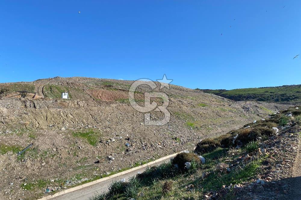 ÇİĞLİ HARMANDALIDA SATILIK TARLA