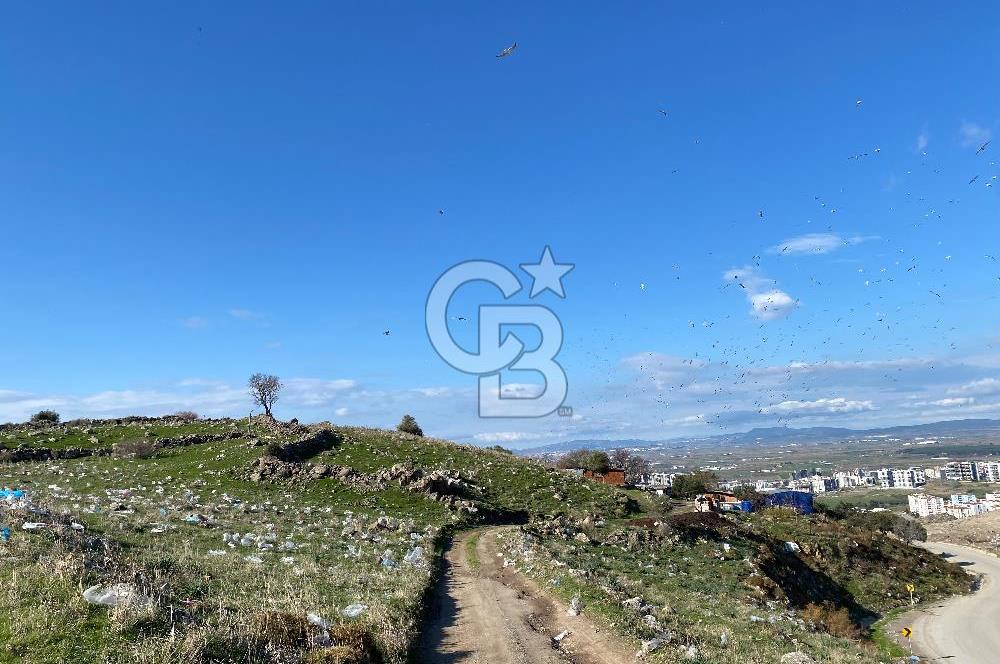 ÇİĞLİ HARMANDALIDA SATILIK TARLA