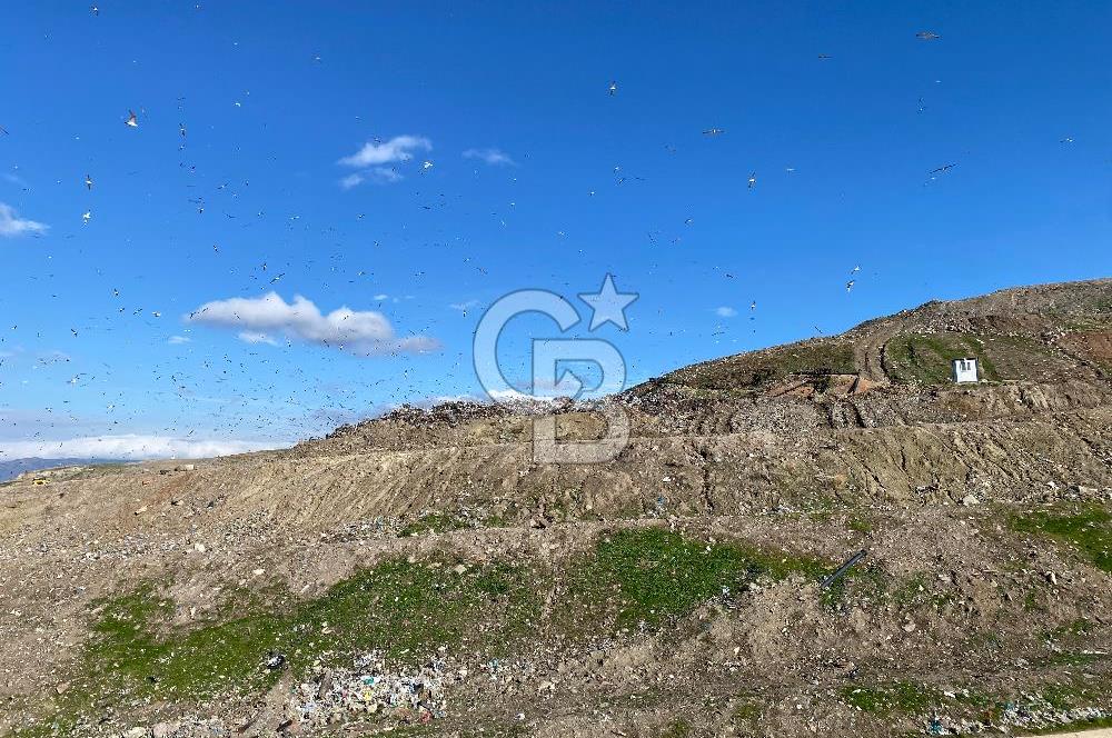 ÇİĞLİ HARMANDALIDA SATILIK TARLA