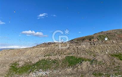 ÇİĞLİ HARMANDALIDA SATILIK TARLA