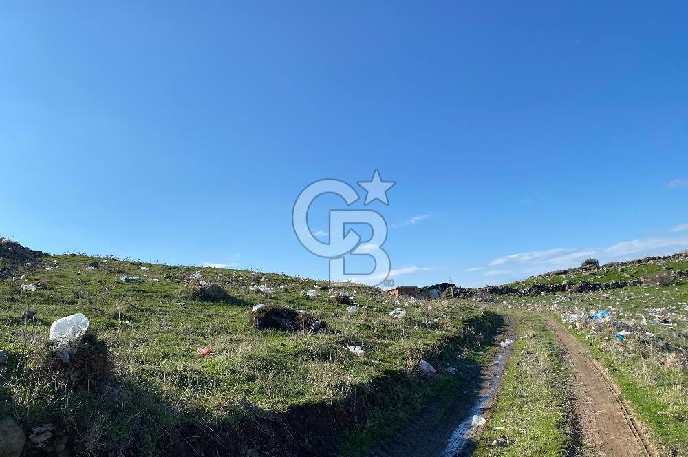 ÇİĞLİ HARMANDALIDA SATILIK TARLA