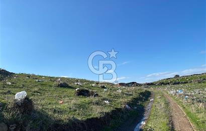 ÇİĞLİ HARMANDALIDA SATILIK TARLA