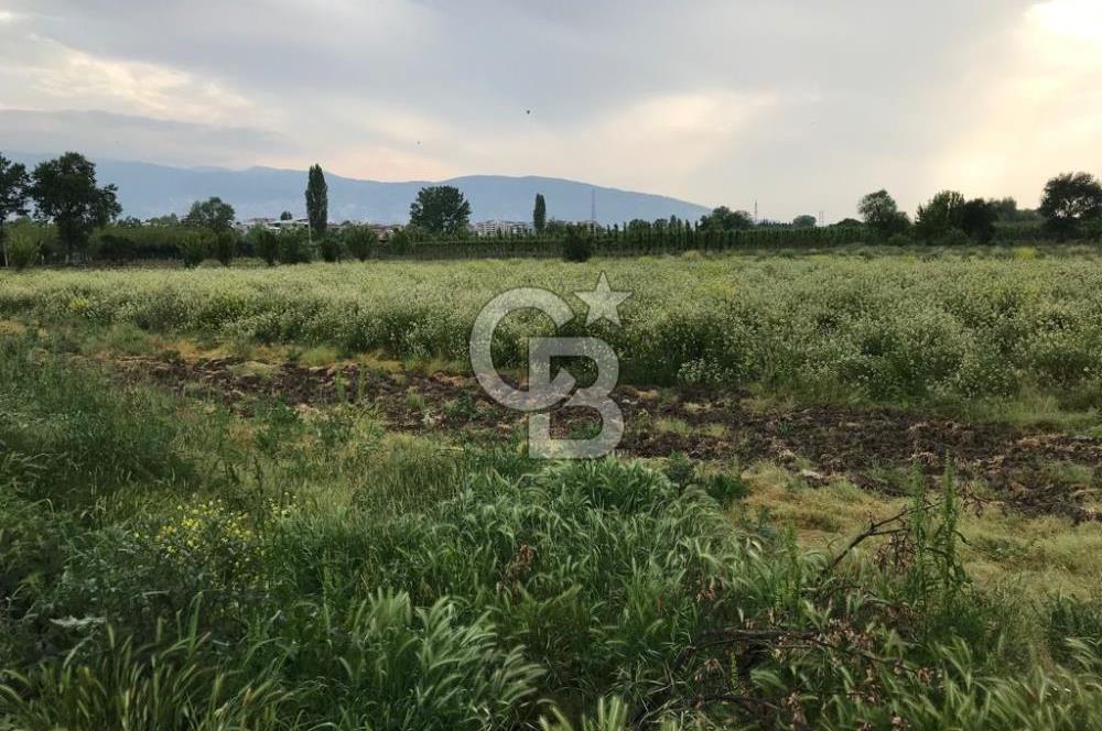 BURSA YILDIRIM MUSTAKIL TAPULU IMARA SINIR SATILIK ARSA 