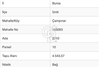 Bursa İznik Çampınar Göl Manzaralı
