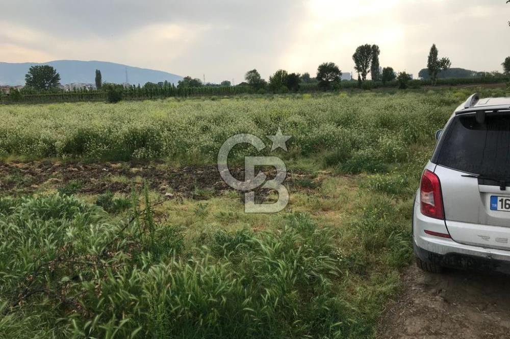 BURSA YILDIRIM MUSTAKIL TAPULU IMARA SINIR SATILIK ARSA 