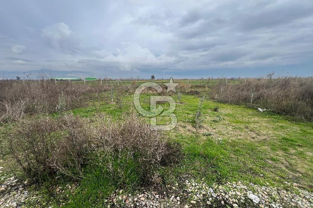 Çiğli Kaklıç’ta  375m2 Satılık Tarla
