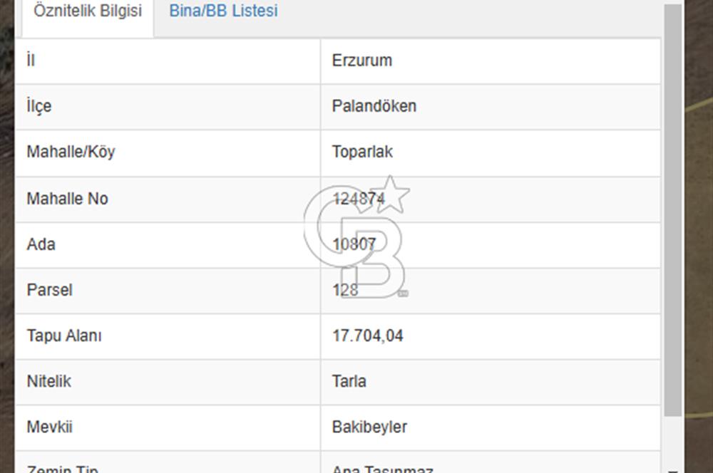 CB ATA'DAN ERZURUM PALANDÖKEN TOPARLAK MAH. SATILIK TARLA