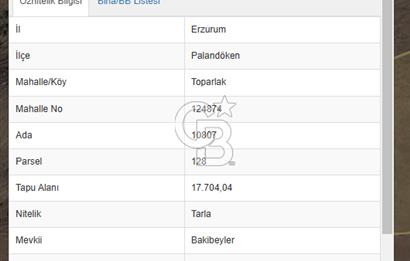 CB ATA'DAN ERZURUM PALANDÖKEN TOPARLAK MAH. SATILIK TARLA