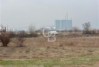COLDWELL BANKER SAFİR'den BULGURLU da 1200 m2 SATILIK TARLA