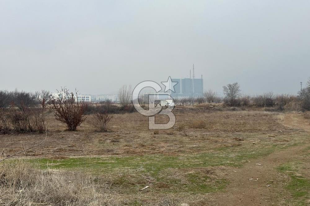 COLDWELL BANKER SAFİR'den BULGURLU da 1200 m2 SATILIK TARLA