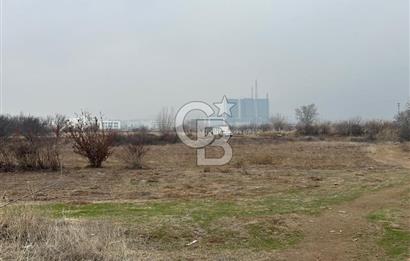 COLDWELL BANKER SAFİR'den BULGURLU da 1200 m2 SATILIK TARLA