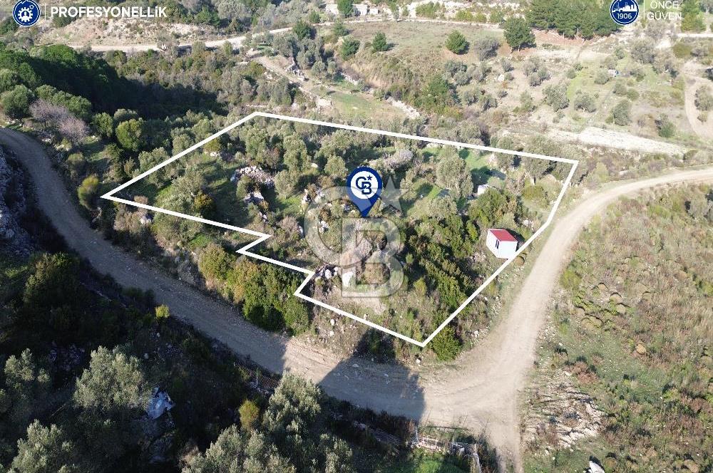 Karaburun Eğlenhoca'da 9.428 m² Satılık Tarla