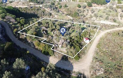 Karaburun Eğlenhoca'da 9.428 m² Satılık Tarla