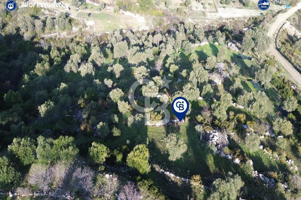Karaburun Eğlenhoca'da 9.428 m² Satılık Tarla
