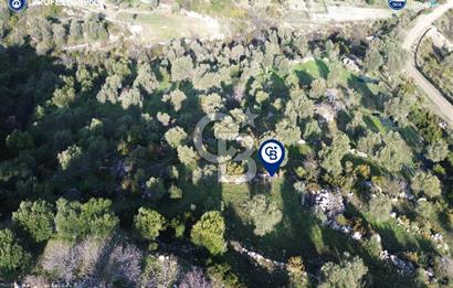 Karaburun Eğlenhoca'da 9.428 m² Satılık Tarla