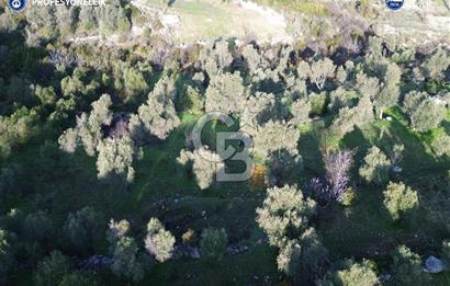 Karaburun Eğlenhoca'da 9.428 m² Satılık Tarla