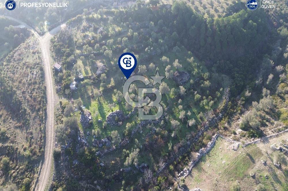Karaburun Eğlenhoca'da 9.428 m² Satılık Tarla