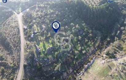 Karaburun Eğlenhoca'da 9.428 m² Satılık Tarla