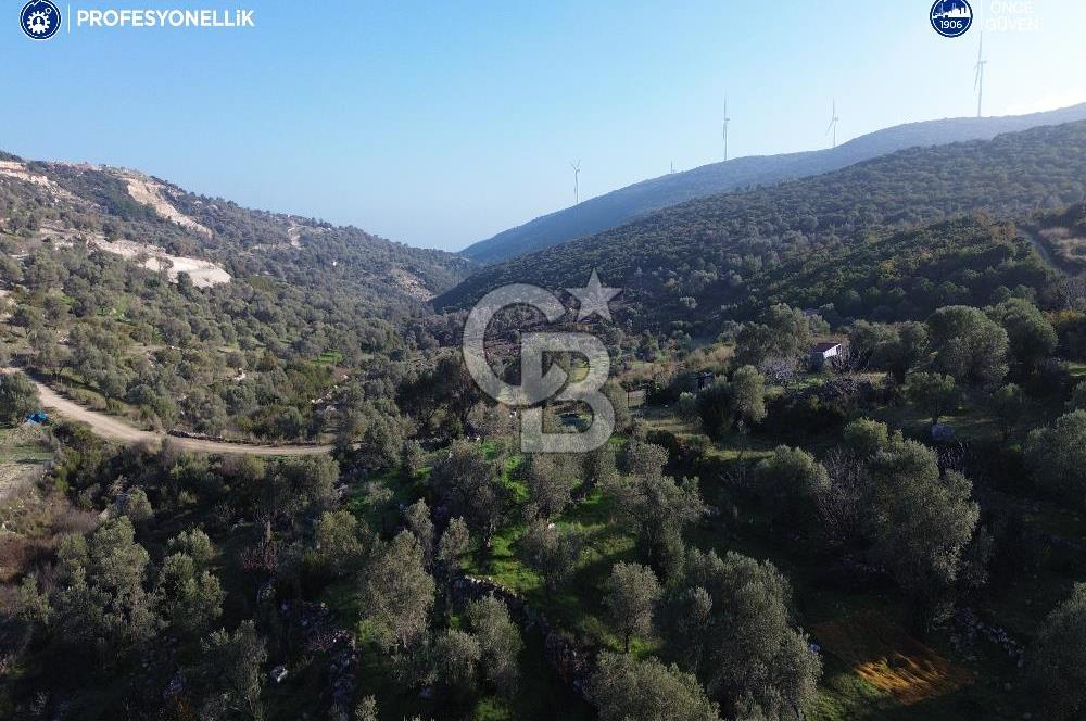 Karaburun Eğlenhoca'da 9.428 m² Satılık Tarla